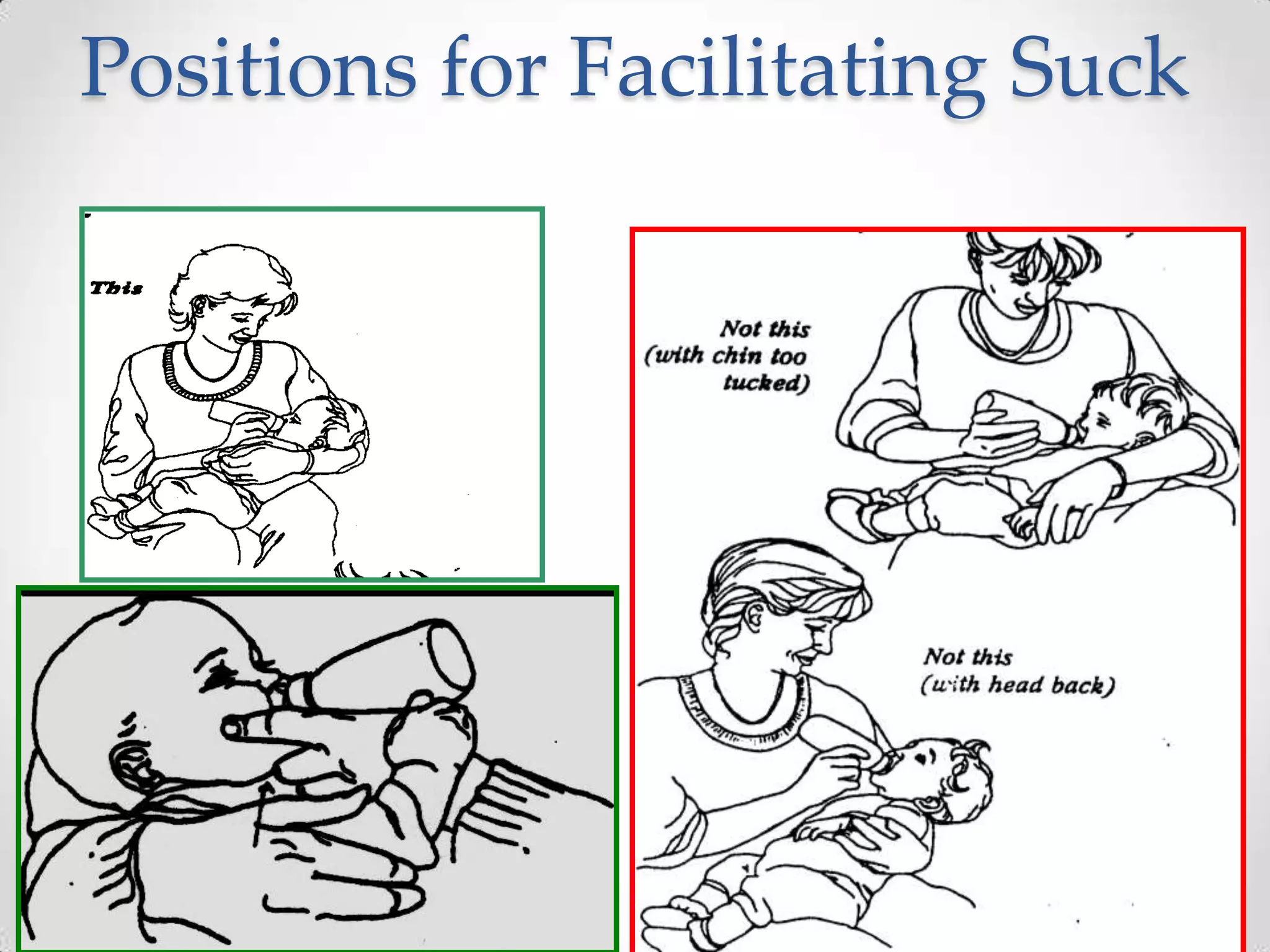 Positions for Facilitating Suck
 