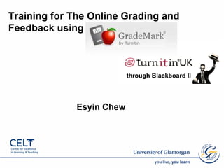 [object Object],through Blackboard II Training for The Online Grading and Feedback using 