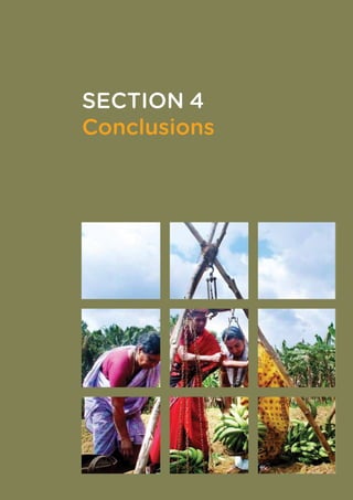 SECTION 4
	 Conclusions
 