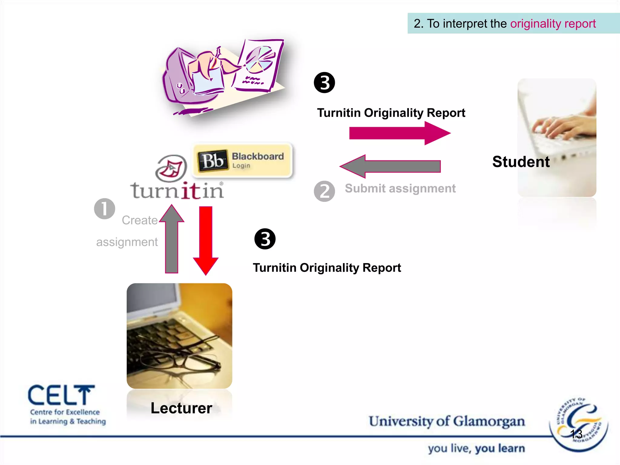 What happens after the due date? E.g. Criminology Project