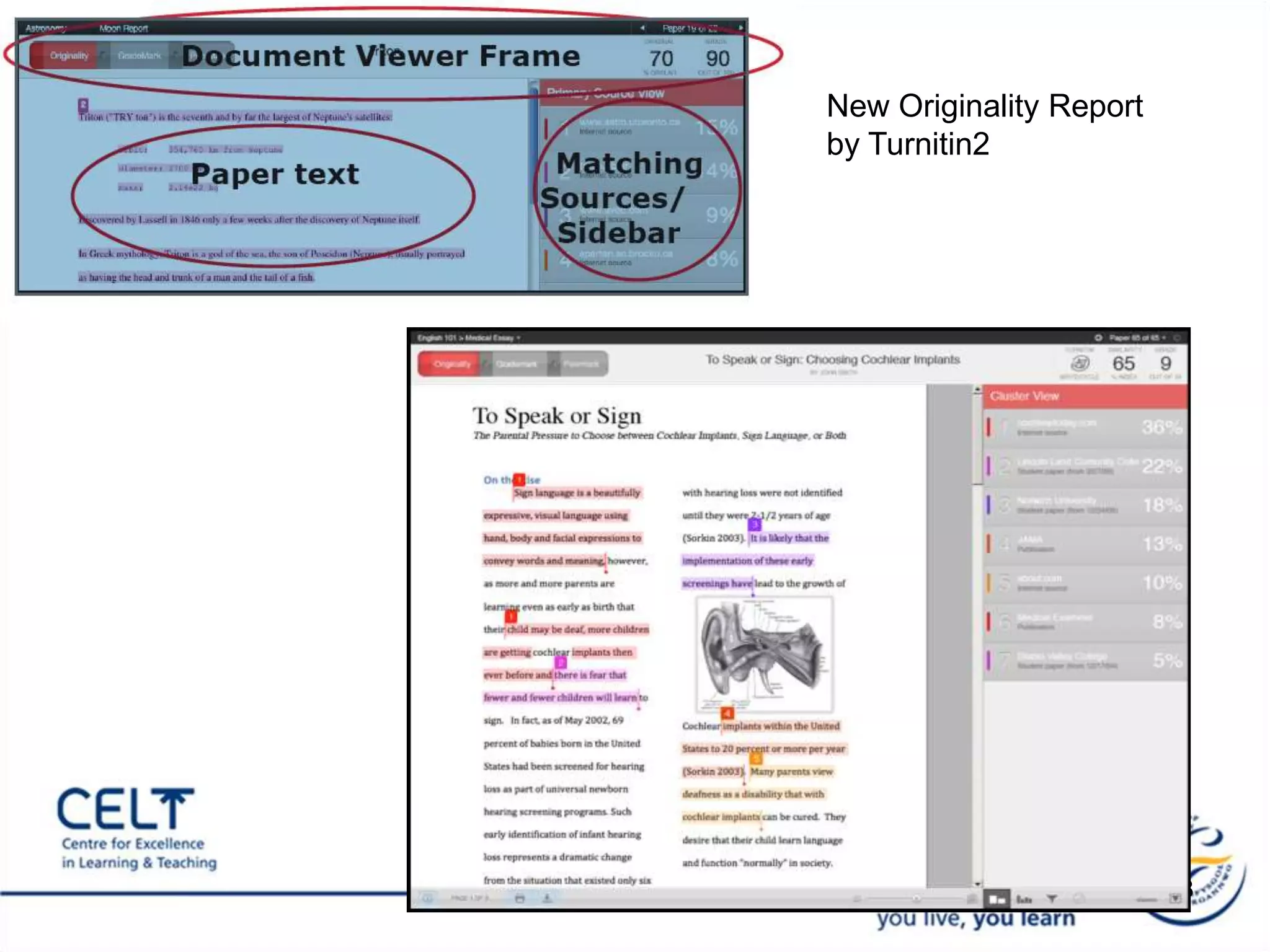 Student name will appear by default 