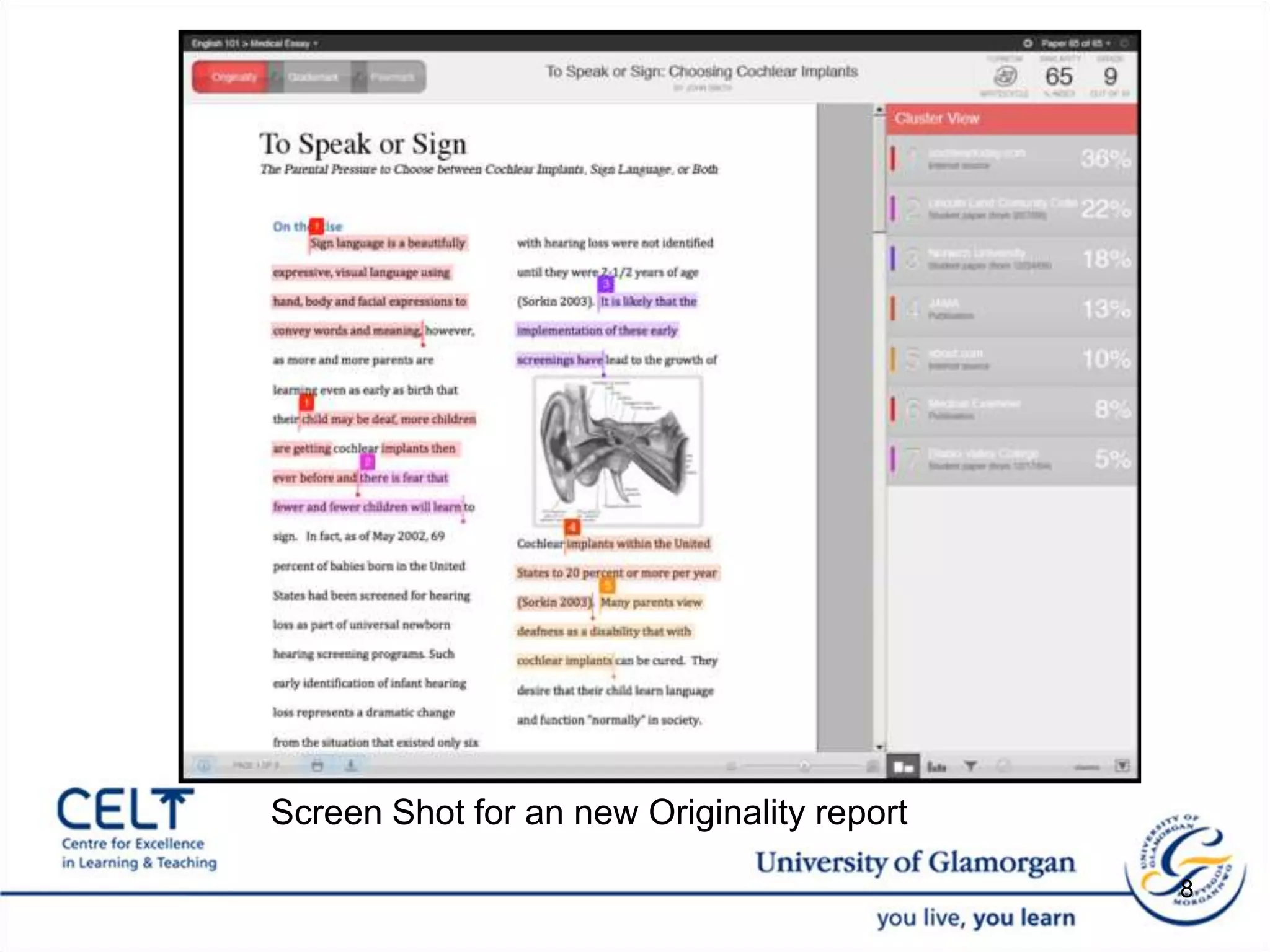 8Screen Shot for an new Originality report 