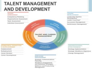 TALENT MANAGEMENT
AND DEVELOPMENT
 