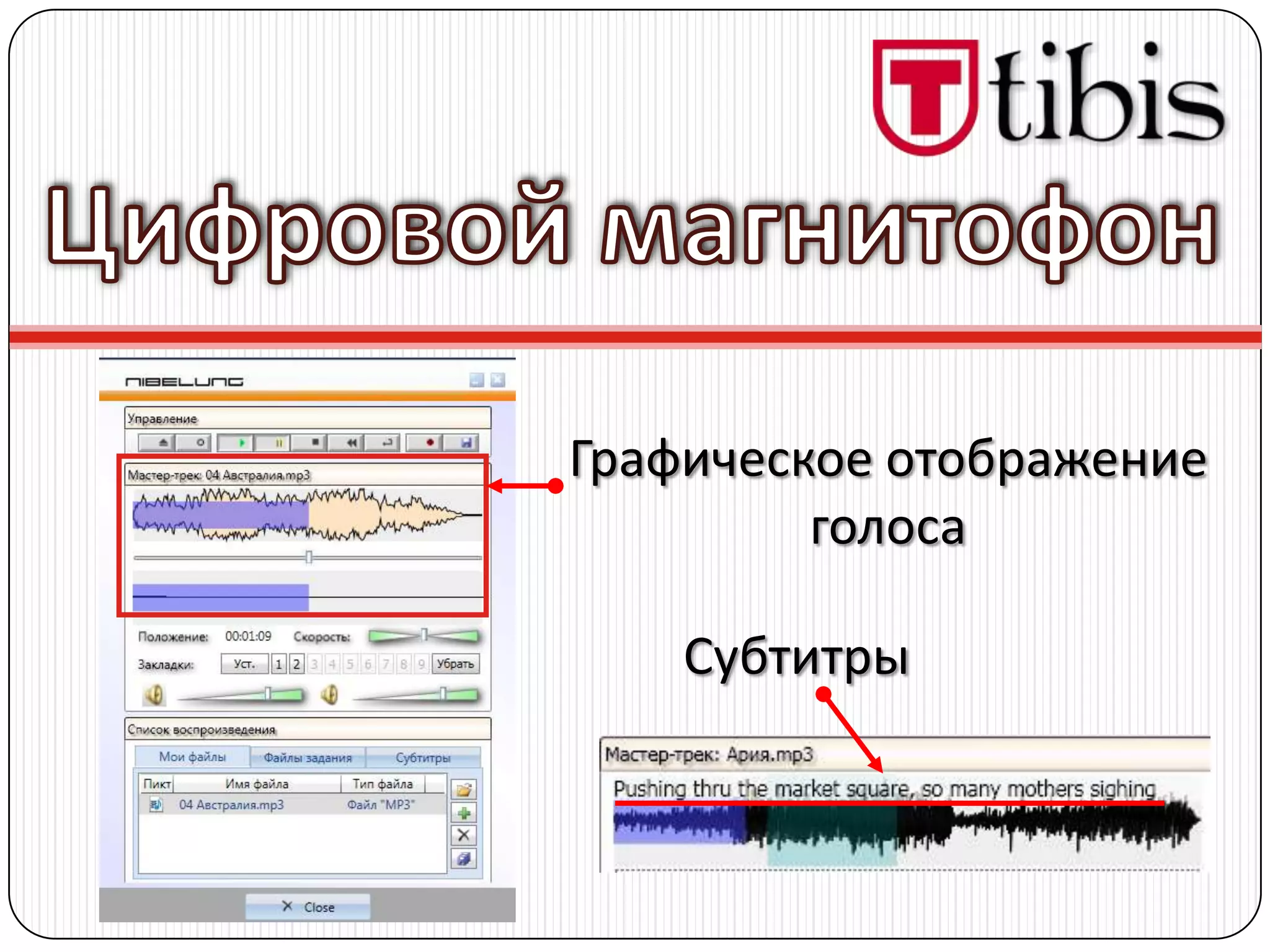 Графическое отображение
         голоса

    Субтитры
 