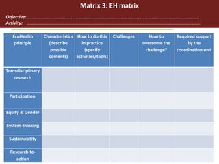 Training matrixes to guide research teams on incorporation of EcoHealth/One Health in planned/ongoing case studies