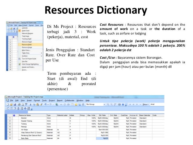 Training microsoft project