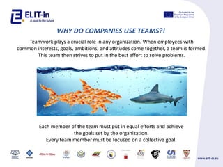 Teamwork Training Module Training module - Teamwor for teambuilding of employees.pdf