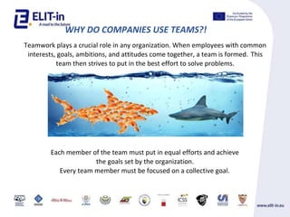 WHY DO COMPANIES USE TEAMS?!
Teamwork plays a crucial role in any organization. When employees with common
interests, goals, ambitions, and attitudes come together, a team is formed. This
team then strives to put in the best effort to solve problems.
Each member of the team must put in equal efforts and achieve
the goals set by the organization.
Every team member must be focused on a collective goal.
 