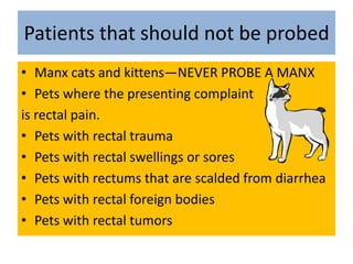 Patients that should not be probedManx cats and kittens—NEVER PROBE A MANXPets where the presenting complaint is rectal pain.Pets with rectal traumaPets with rectal swellings or soresPets with rectums that are scalded from diarrheaPets with rectal foreign bodiesPets with rectal tumors