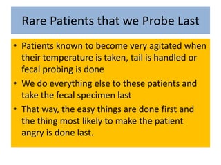 Rare Patients that we Probe LastPatients known to become very agitated when their temperature is taken, tail is handled or fecal probing is doneWe do everything else to these patients and take the fecal specimen lastThat way, the easy things are done first and the thing most likely to make the patient angry is done last.