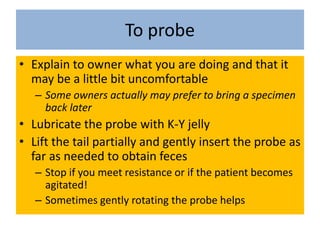 To probeExplain to owner what you are doing and that it may be a little bit uncomfortableSome owners actually may prefer to bring a specimen back laterLubricate the probe with K-Y jellyLift the tail partially and gently insert the probe as far as needed to obtain fecesStop if you meet resistance or if the patient becomes agitated!Sometimes gently rotating the probe helps