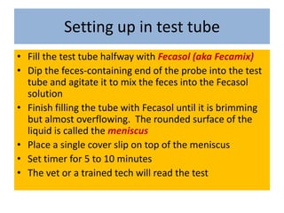 Setting up in test tubeFill the test tube halfway with Fecasol (aka Fecamix)Dip the feces-containing end of the probe into the test tube and agitate it to mix the feces into the Fecasol solutionFinish filling the tube with Fecasol until it is brimming but almost overflowing.  The rounded surface of the liquid is called the meniscusPlace a single cover slip on top of the meniscusSet timer for 5 to 10 minutesThe vet or a trained tech will read the test