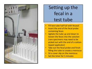 Setting up the fecal in a test tubeFill test tube half full with fecasol