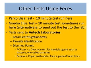 So what do those + signs mean?You may see it noted in the record here as Rounds +, Hooks +++Many things in veterinary medicine are assigned a semi-quantitative assessment on a scale of 1 to 4+  or +1 means very few ova seen++  or +2 means a moderate number of ova seen+++  or +3 means a lot of ova seen++++ or +4 means that the slide is loaded with ovaSo a pet with +1 or +2 is very likely to get a routine dewormer such as Pyrantel Pamoate and a pet with +4 is likely to get a more aggressive deworming strategy such as Panacur daily for 3 days.