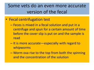 Some vets do an even more accurate version of the fecalFecal centrifugation test	Feces is mixed in a fecal solution and put in a centrifuge and spun for a certain amount of time before the cover slip is put on and the sample is readIt is more accurate—especially with regard to whipwormsWorm ova rise to the top from both the spinning and the concentration of the solution