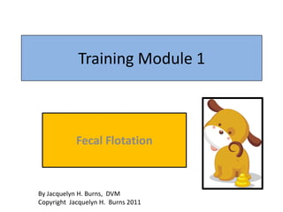 Training Module 1<br />Fecal Flotation<br />By Jacquelyn H. Burns,  DVM<br />Copyright  Jacquelyn H.  Burns 2011<br />
