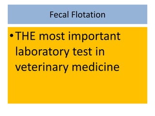 Fecal Flotation<br />THE most important laboratory test in veterinary medicine<br />