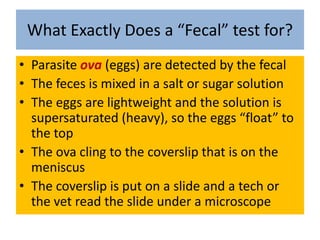 What Exactly Does a “Fecal” test for?<br />Parasite ova (eggs) are detected by the fecal<br />The feces is mixed in a salt...