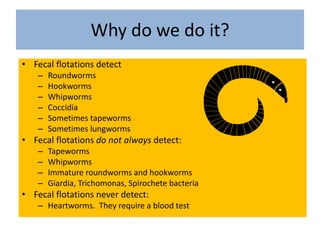 Why do we do it?<br />Fecal flotations detect<br />Roundworms<br />Hookworms<br />Whipworms<br />Coccidia<br />Sometimes t...