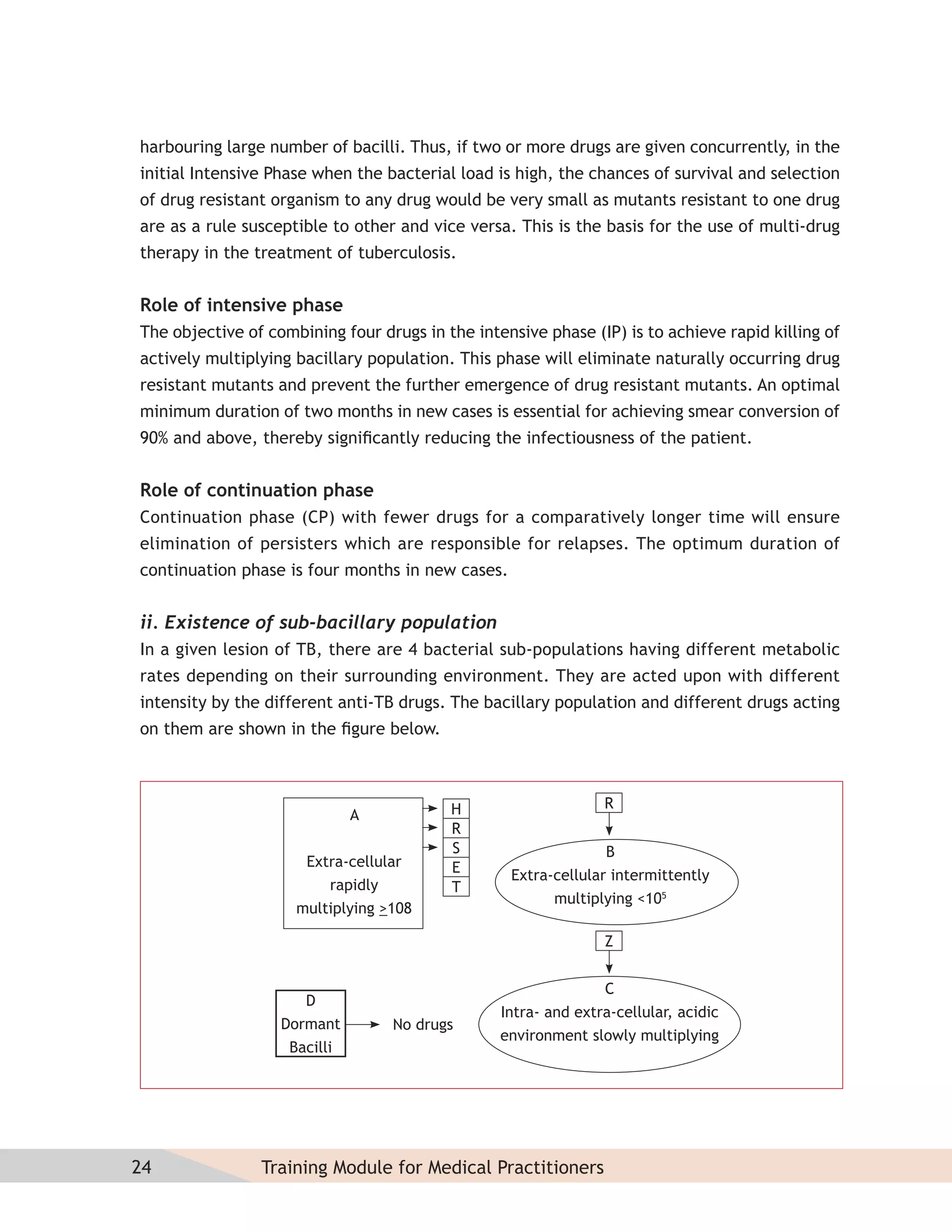 harbouring large number of bacilli. Thus, if two or more drugs are given concurrently, in the
initial Intensive Phase when the bacterial load is high, the chances of survival and selection
of drug resistant organism to any drug would be very small as mutants resistant to one drug
are as a rule susceptible to other and vice versa. This is the basis for the use of multi-drug
therapy in the treatment of tuberculosis.


Role of intensive phase
The objective of combining four drugs in the intensive phase (IP) is to achieve rapid killing of
actively multiplying bacillary population. This phase will eliminate naturally occurring drug
resistant mutants and prevent the further emergence of drug resistant mutants. An optimal
minimum duration of two months in new cases is essential for achieving smear conversion of
90% and above, thereby signiﬁcantly reducing the infectiousness of the patient.


Role of continuation phase
Continuation phase (CP) with fewer drugs for a comparatively longer time will ensure
elimination of persisters which are responsible for relapses. The optimum duration of
continuation phase is four months in new cases.


ii. Existence of sub-bacillary population
In a given lesion of TB, there are 4 bacterial sub-populations having different metabolic
rates depending on their surrounding environment. They are acted upon with different
intensity by the different anti-TB drugs. The bacillary population and different drugs acting
on them are shown in the ﬁgure below.



                                          H                     R
                              A
                                          R
                                          S                     B
                      Extra-cellular      E       Extra-cellular intermittently
                         rapidly          T
                                                        multiplying <105
                     multiplying >108

                                                                Z


                                                                C
                      D
                                                 Intra- and extra-cellular, acidic
                   Dormant        No drugs
                                                 environment slowly multiplying
                    Bacilli




24              Training Module for Medical Practitioners
 