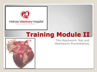 Training Module II The Heartworm Test and Heartworm Preventatives 