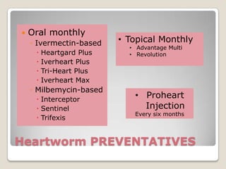 Heartworm PREVENTATIVES ,[object Object],Oral monthly,[object Object],Ivermectin-based,[object Object],Heartgard Plus,[object Object],Iverheart Plus,[object Object],Tri-Heart Plus,[object Object],Iverheart Max,[object Object],Milbemycin-based,[object Object],Interceptor,[object Object],Sentinel,[object Object],Trifexis,[object Object],[object Object]