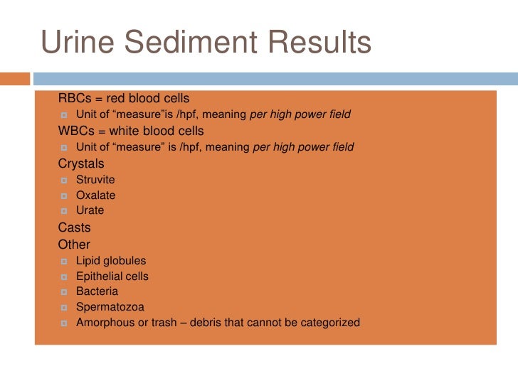Training module III - Urinalysis