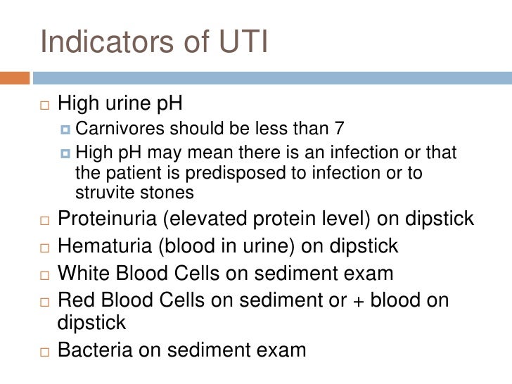 Training module III Urinalysis