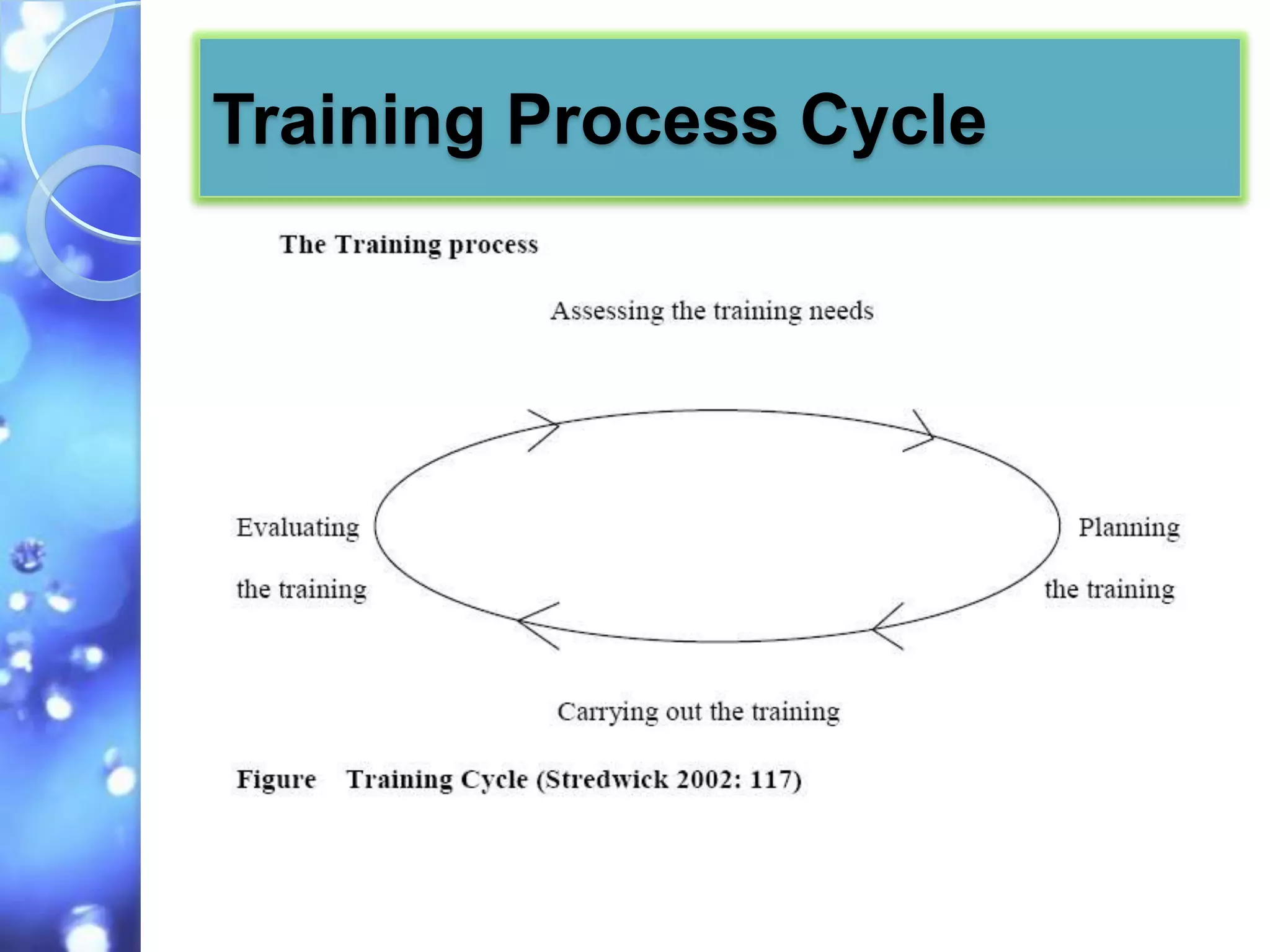 Training Process Cycle
 