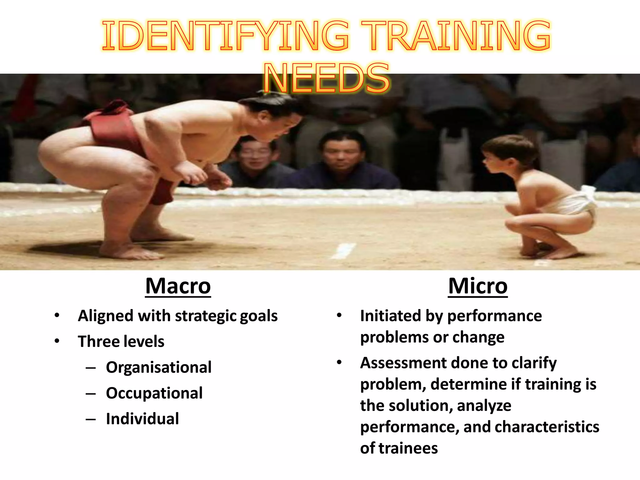 Macro
• Aligned with strategic goals
• Three levels
– Organisational
– Occupational
– Individual
Micro
• Initiated by performance
problems or change
• Assessment done to clarify
problem, determine if training is
the solution, analyze
performance, and characteristics
of trainees
 