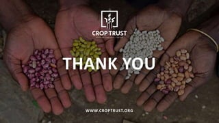 THANK YOU
WWW.CROPTRUST.ORG
 