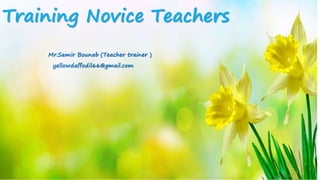 Training Novice Teachers
Mr.Samir Bounab (Teacher trainer )
yellowdaffodil66@gmail.com
 