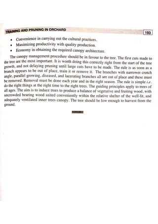 Training and pruning | PDF