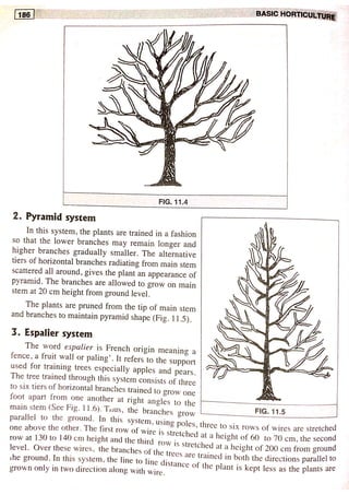 Training and pruning | PDF