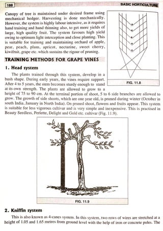 Training and pruning | PDF