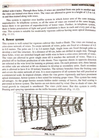 Training and pruning | PDF