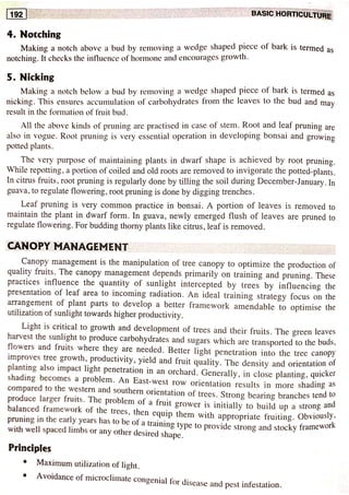 Training and pruning | PDF