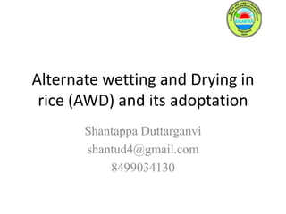 Alternate wetting and Drying in
rice (AWD) and its adoptation
Shantappa Duttarganvi
shantud4@gmail.com
8499034130

 
