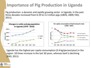 Training on management of endemic diseases for pig value chains in Uganda