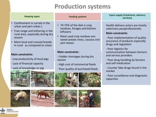 Training on management of endemic diseases for pig value chains in Uganda