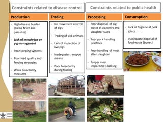 Training on management of endemic diseases for pig value chains in Uganda
