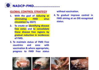 Training of vaccination in FMD affected cattle | PDF
