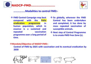 Training of vaccination in FMD affected cattle | PDF