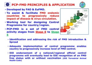 Fmd Code Training of vaccination in FMD affected cattle | PDF