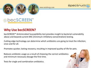 Why Use becSCREEN? 
becSCREEN™ Antimicrobial Susceptibility test provides insight to bacterial vulnerability 
above and beyond current MIC (minimum inhibitory concentration) testing. 
Cutting edge technology can determine which antibiotics are going to treat the infection; 
once and for all. 
Promotes quicker, lasting recovery; resulting in improved quality of life for pets. 
Reduces antibiotic usage as a result of choosing the correct antibiotics 
and minimum necessary dosage the first time. 
Tests for single and combination antibiotics. 
 