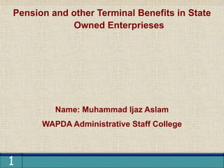 1
Pension and other Terminal Benefits in State
Owned Enterprieses
Name: Muhammad Ijaz Aslam
WAPDA Administrative Staff College
 