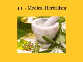 4.1 - Medical Herbalism
 