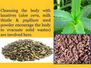 Cleansing the body with
laxatives (aloe vera, milk
thistle & psyllium seed
powder encourage the body
to evacuate solid wastes)
are involved here.
 