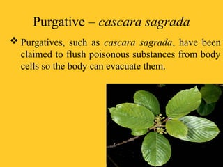 Purgative – cascara sagrada
 Purgatives, such as cascara sagrada, have been
claimed to flush poisonous substances from body
cells so the body can evacuate them.
 