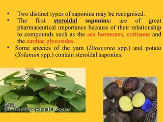 • Two distinct types of saponins may be recognised.
• The first steroidal saponins: are of great
pharmaceutical importance because of their relationship
to compounds such as the sex hormones, cortisone and
the cardiac glycosides.
• Some species of the yam (Dioscorea spp.) and potato
(Solanum spp.) contain steroidal saponins.
 